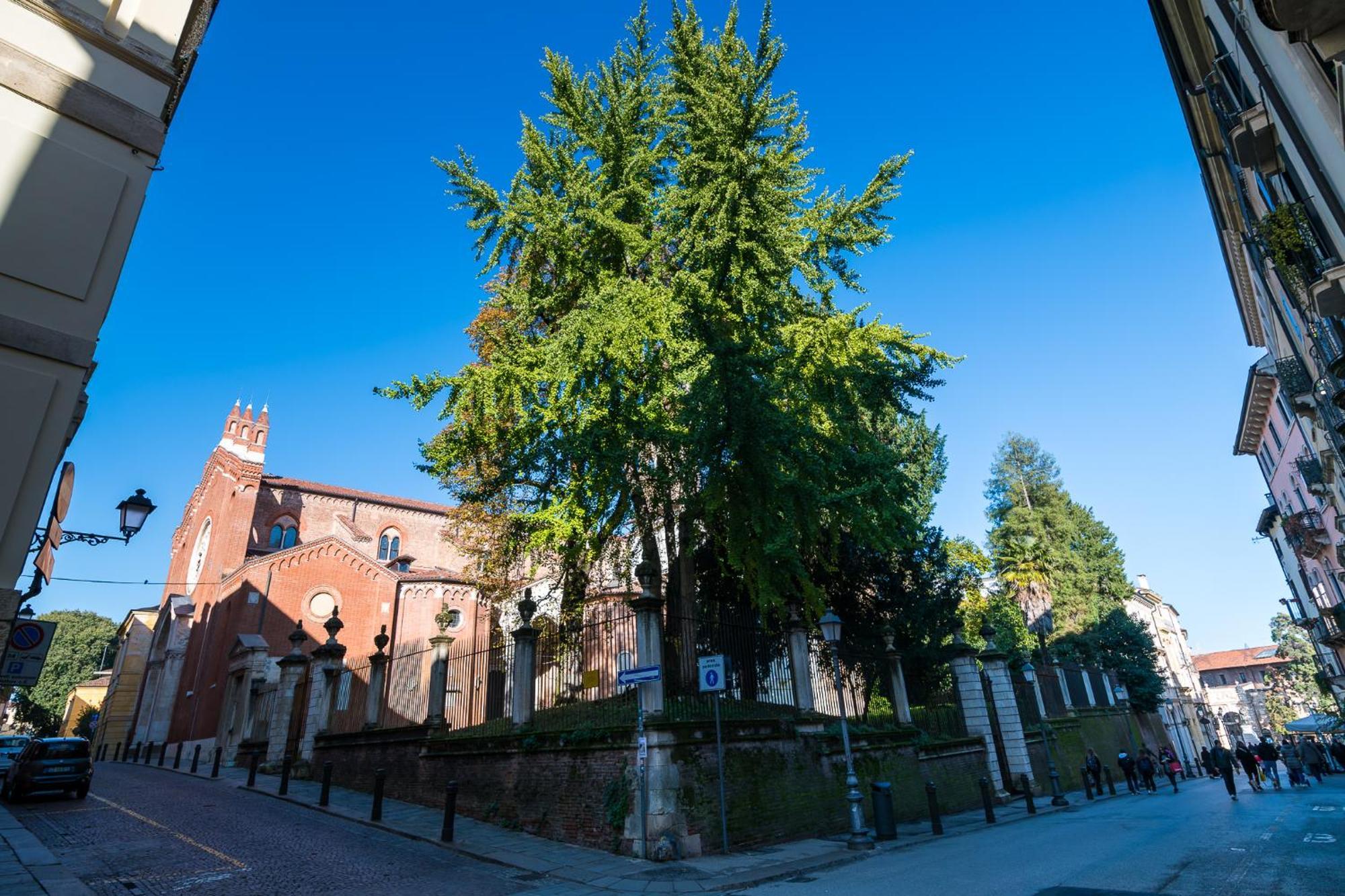 Residenza Corso Palladio 159 فيتشنزا المظهر الخارجي الصورة